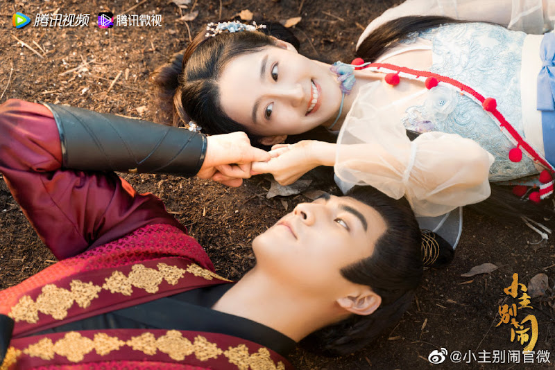 Little Lord, Don't Make Trouble China Web Drama